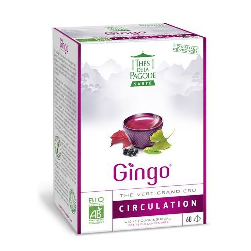 THE GINGO CIRCULATION 60 inf/boîte 120g