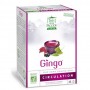 THE GINGO CIRCULATION 60 inf/boîte 120g