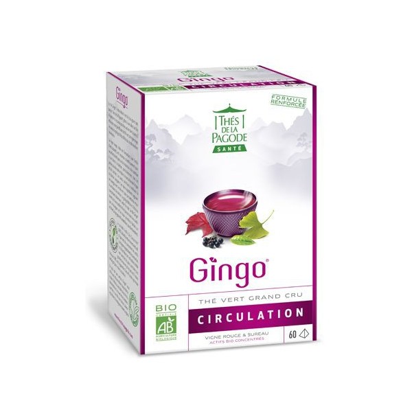 THE GINGO CIRCULATION 60 inf/boîte 120g