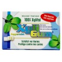 CHEWING-GUM MENTHE POIVREE 15,6g