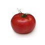 Tomate Ronde Grappe FR