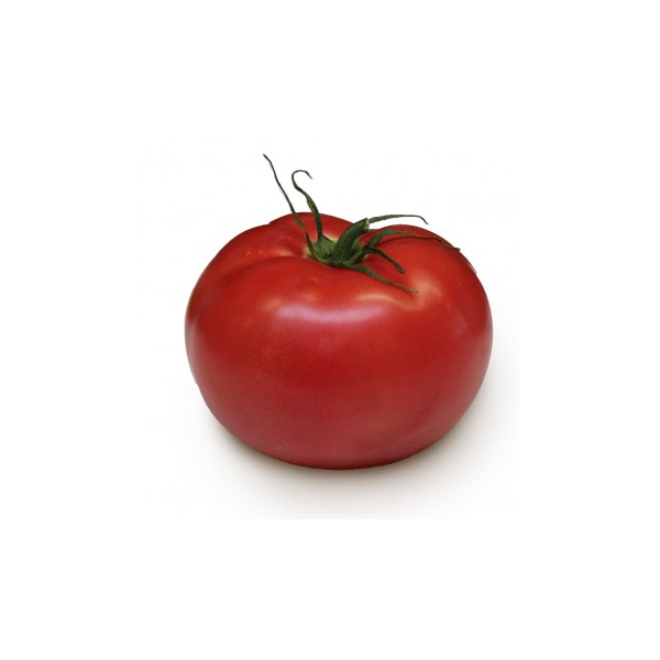 Tomate Ronde Grappe FR